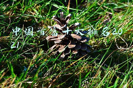 中国首富十大排名2021曹德旺(福州新十大富豪：坐拥2300亿财富，福清人占据5席，曹德旺仅第四)