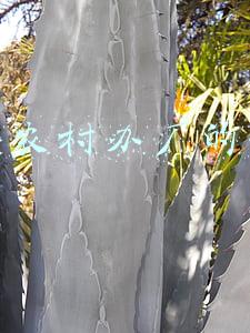 适合农村办厂的项目