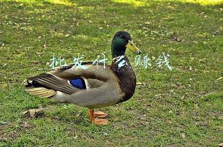 木塑批发店赚钱吗(新疆塑木工厂批发价格与物流之间的关系？)