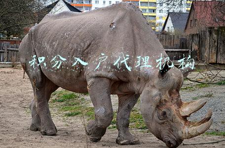 积分入户代理机构
