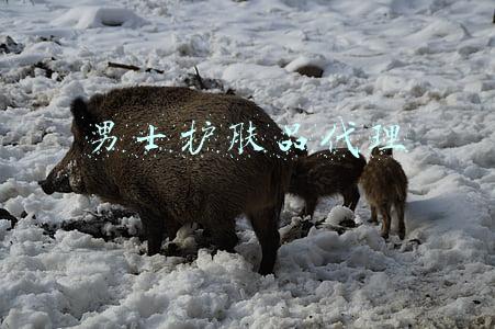 男士护肤品代理