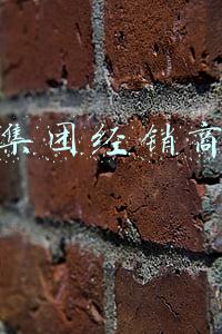 旺旺集团经销商网站