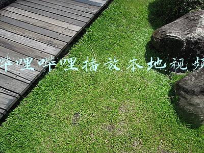 哔哩哔哩视频无法播放(B站在多个应用商店下架，此前曾被央视点名批评存在低俗内容)