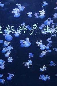 战略性新兴产业分类2019(聚焦战略新兴产业，103家成长企业入选“鲲鹏计划”)