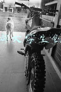 成都大学生创业