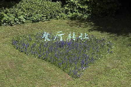 餐厅转让