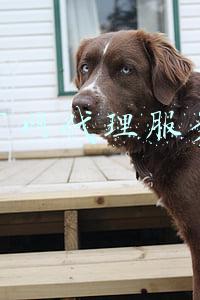 教育网代理服务器