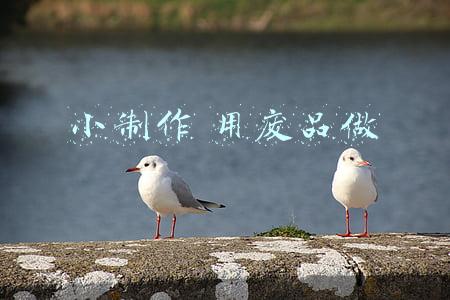 小制作 用废品做