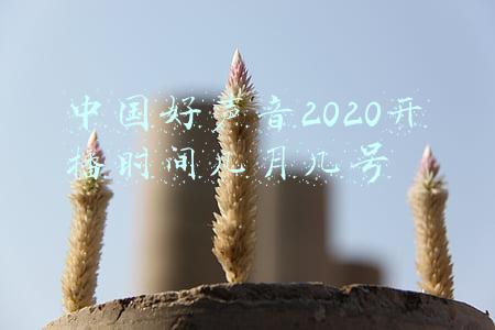 中国好声音2020开播时间几月几号