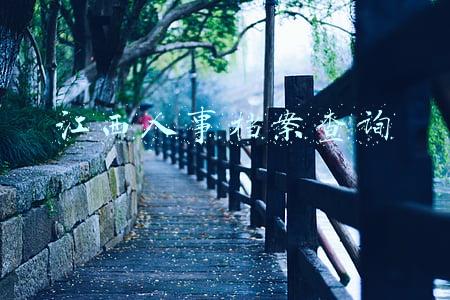 江西人事档案查询