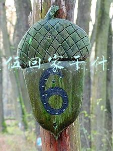 退伍回家干什么