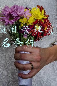项目管理师pmp报考条件(PMP®报名条件是什么？哪些人适合报考PMP®?)