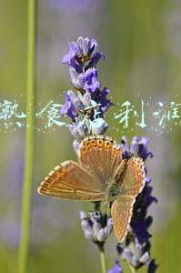 熟食店利润怎么样啊(卤菜店的利润一般是多少)