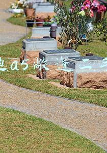 奥迪a5敞篷二手车 奥迪a5敞篷二手车