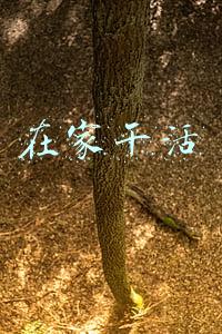 在家干活属于什么职业(37岁农民工小伙花光父母养老钱买名牌西装，买完还暴揍父母)