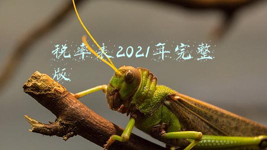 增值税税率表2021年完整版(特好记！2021年12月更新最新最全增值税税率和征收率表，收藏啦)