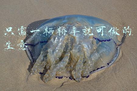 只需一辆轿车就可做的生意,9个不需要门面的生意(花小钱、壮大门面 四款过年高B格二手车推荐)