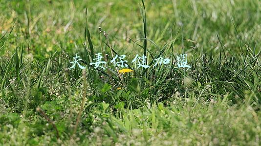 夫妻保健加盟