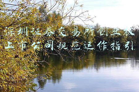 深圳证券交易所创业板上市公司规范运作指引