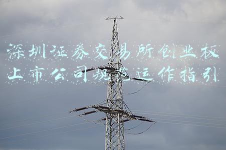 深圳证券交易所上市公司规范运作指引(2020年修订(苏宁易购集团股份有限公司 关于子公司为子公司提供担保的公告)