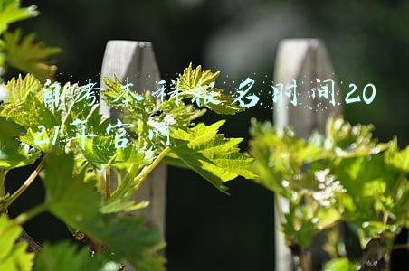 自考本科报名时间2021年官网