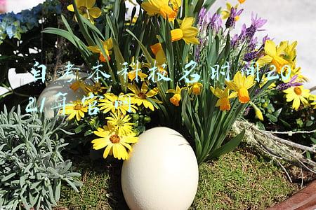 自考本科报名时间2021年官网
