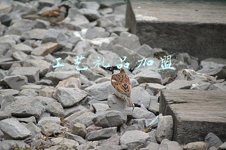 工艺品加盟项目(陶艺馆加盟怎么样？需要多少钱？)