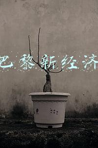 申万巴黎新经济净值