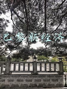 申万巴黎新经济净值