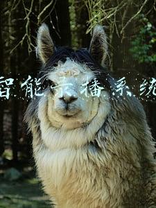 智能录播主机(智慧看家，关爱家里老人孩子，海雀AI全景摄像头 2K版（HQ5s）评测)