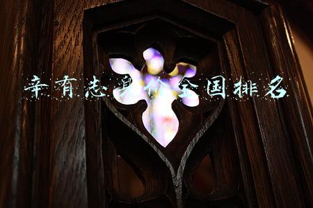 辛有志身价全国排名