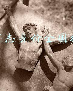 辛有志身价全国排名