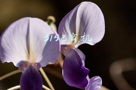 3158商机