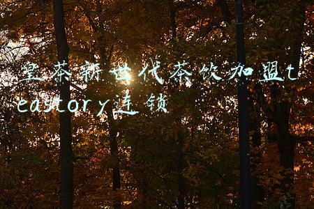 世代皇茶(连锁的核心：皇茶？新世代皇茶？新世纪皇茶？天御皇茶？喜茶？)