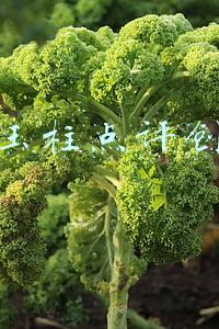 史玉柱点评创业 书 序言(史玉柱给创业者的3个忠告，每一个都受用终生)