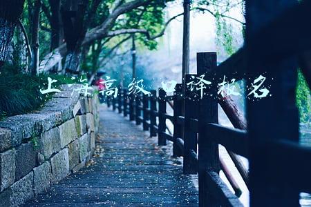 上海高级口译报名
