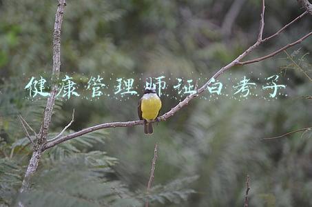 考下健康管理师证感觉没用(湖北健康管理师含金量高吗？)