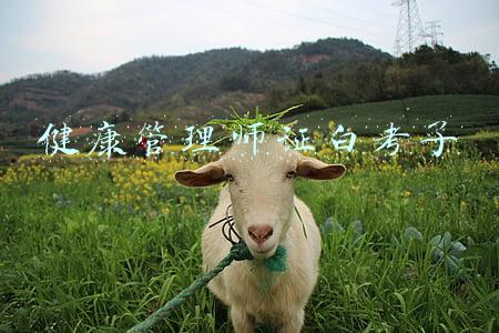 健康管理师证怎么考取(健康管理师证怎么报名考试事项报名条件以及指南)