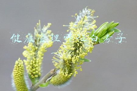 健康管理师证书用途(说说健康管理师的含金量)