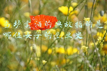 成语当垆卖酒的意思(小剧场·大码头｜评汉剧《再见卓文君》：“当垆卖酒”与“临街煨汤”)