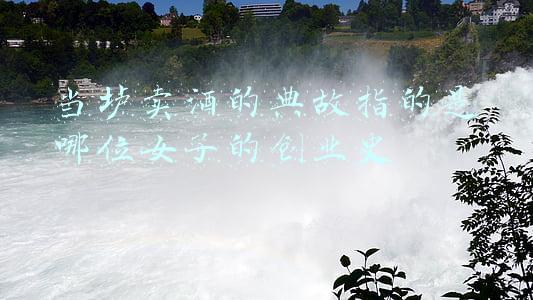 当垆卖酒的典故指的是哪位女子的创业史