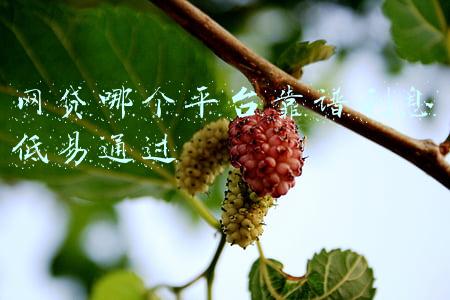 网贷哪个平台靠谱利息低易通过