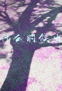 抖音什么时候出来的