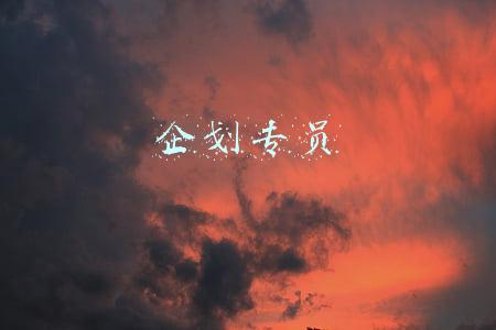 企划专员