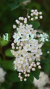 项目管理案例