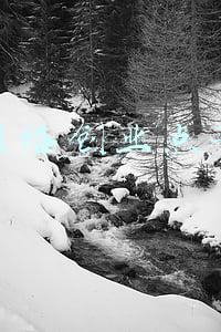 网络创业点子