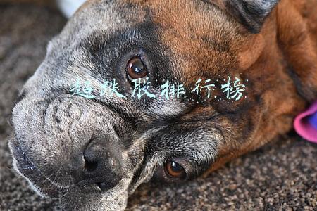 最新超跌股排行榜(四大板块最受机构青睐，超跌且连续4个季度业绩实现增长的概念股名单出炉（附股）)