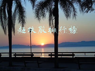 超跌股排行榜