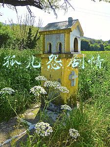 孤儿怨剧情详细介绍(《孤儿怨》——你领回来的可能不是小女孩，而是天山童姥的怨念。)