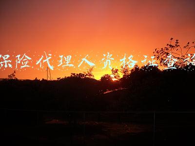 保险代理人资格证查询系统官网(6种渠道可查个人征信)